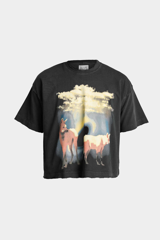 Camiseta EGHO Lobo Guará