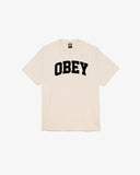 COLLEGIATE HEAVYWEIGHT T-SHIRT