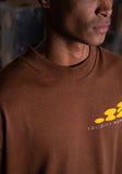 Solidify Brown